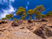 Reserva Natural Integral de Inagua